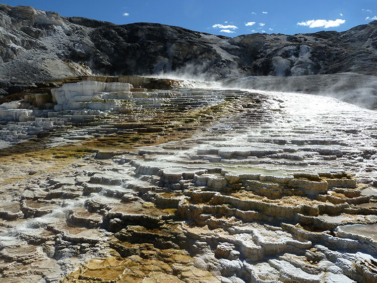 yellowstone-mammoth