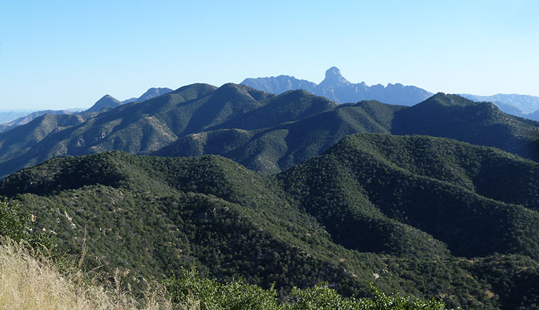 kitt-peak-view