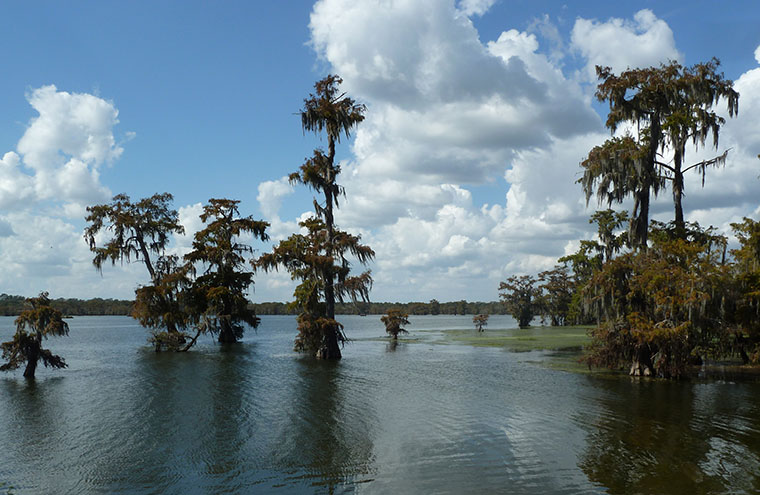 lake-martin