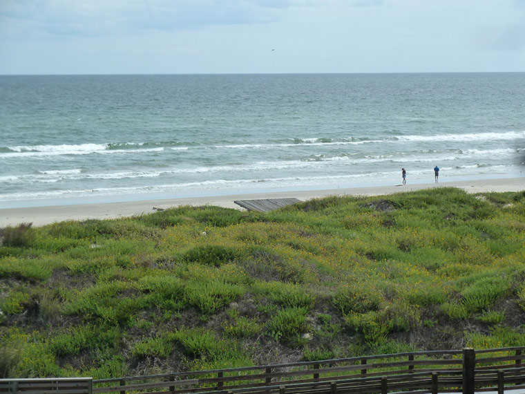 padre-beach-visitor-center