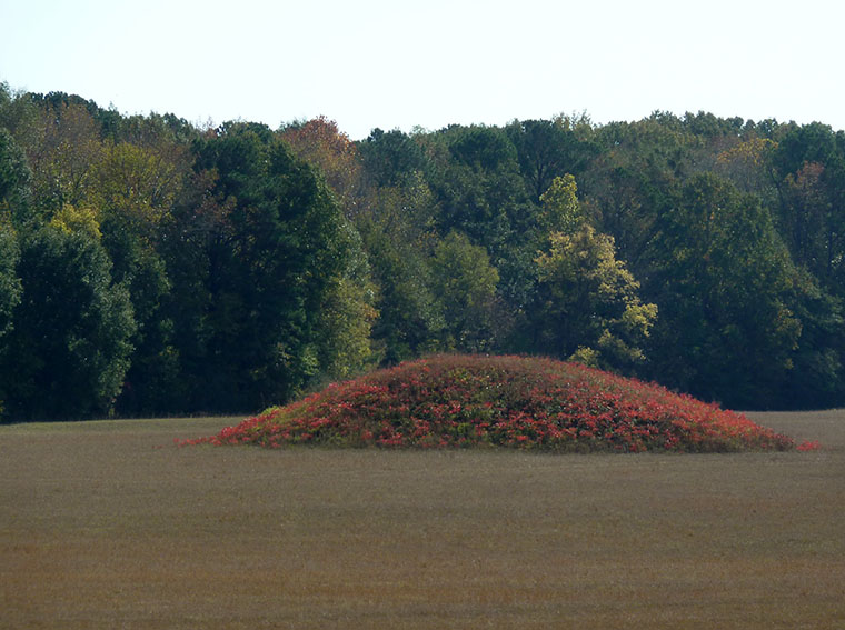 pharr-burial-mound