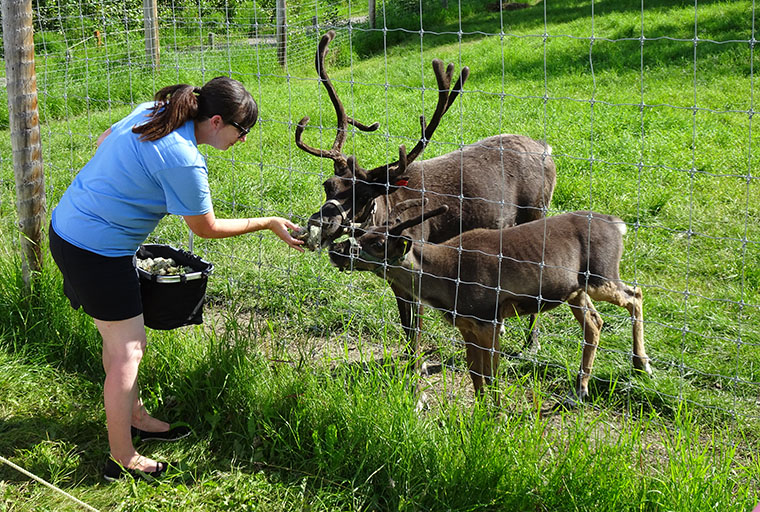 Fairbanks Animal 2