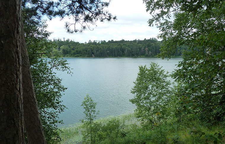 Lake Itasca View