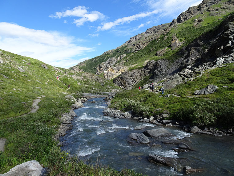 Denali Day 1 Savage River Trail3