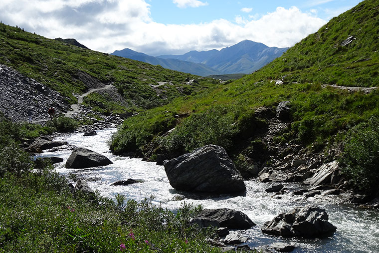 Denali Day 1 Savage River Trail4