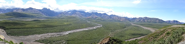 Denali Day 2 Low Elevation Panorama