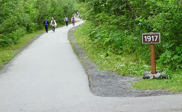 Exit Glacier Start of trail