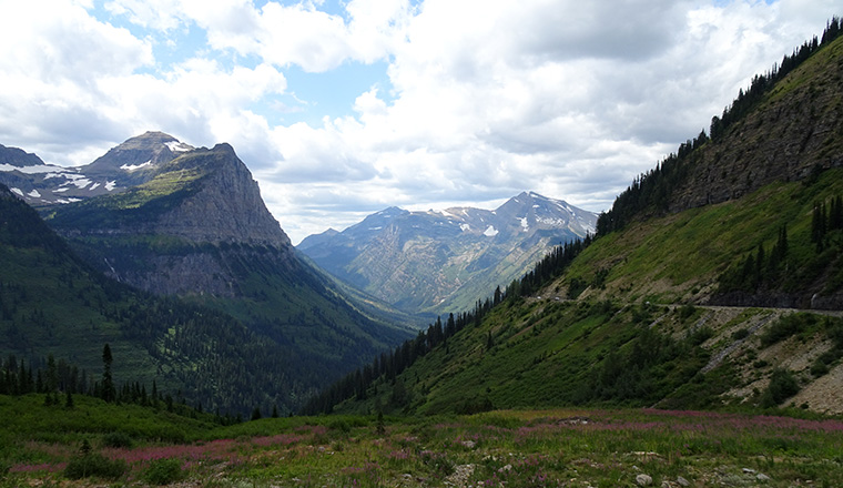 Glacier - View near Logan Pass