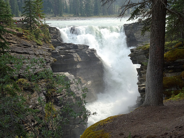 Icefields - Athabasca Falls