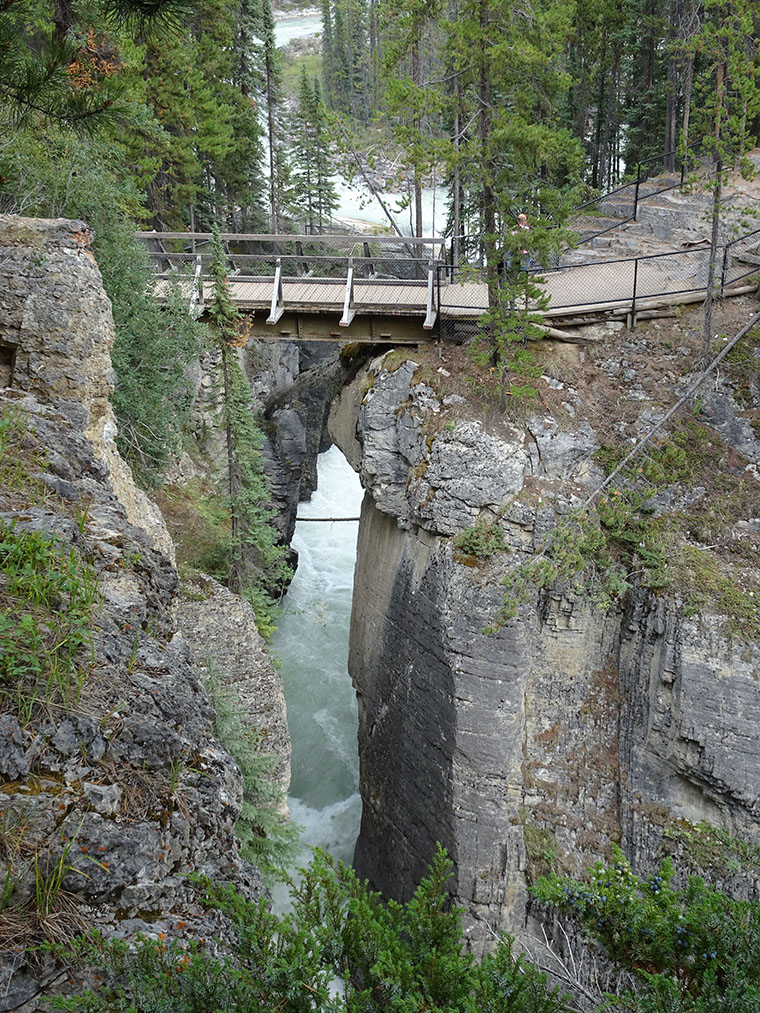 Icefields Subwapti Falls