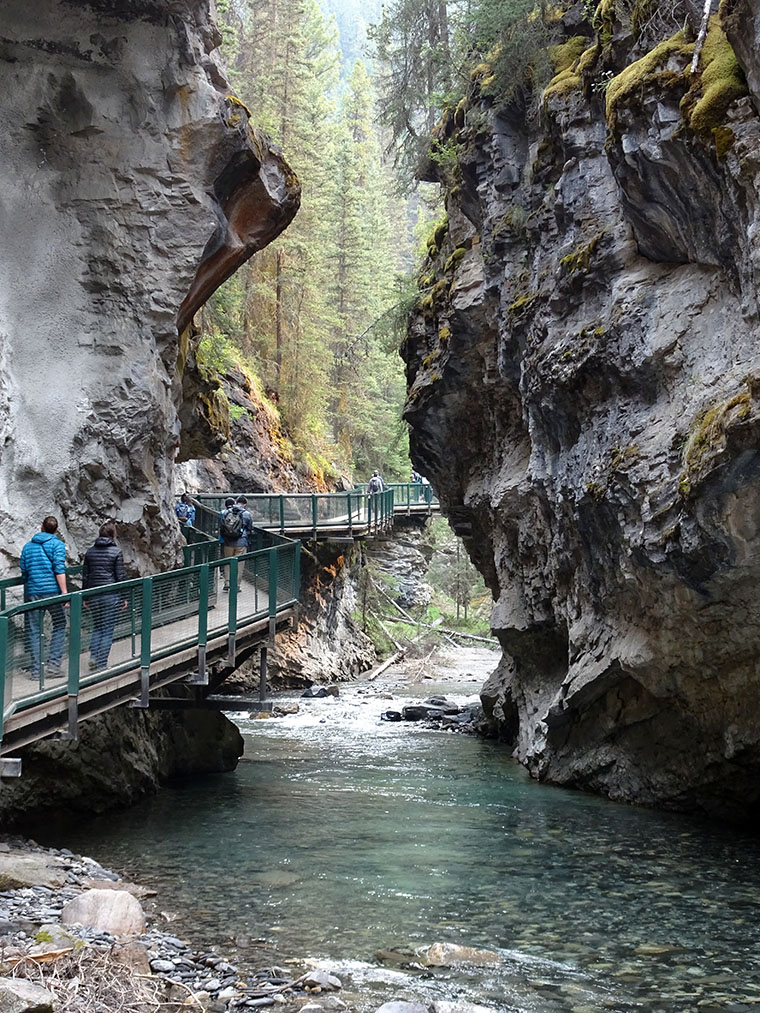 Johnston Canyon Trail