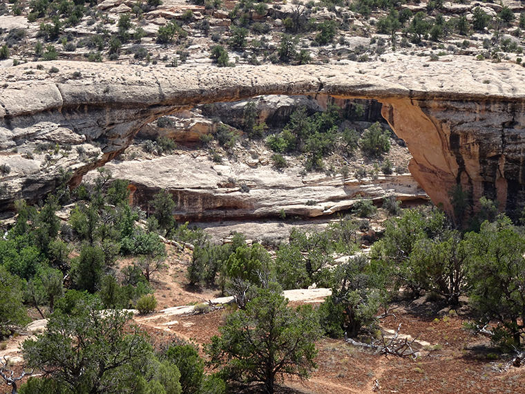 Natural Bridges Owachomo