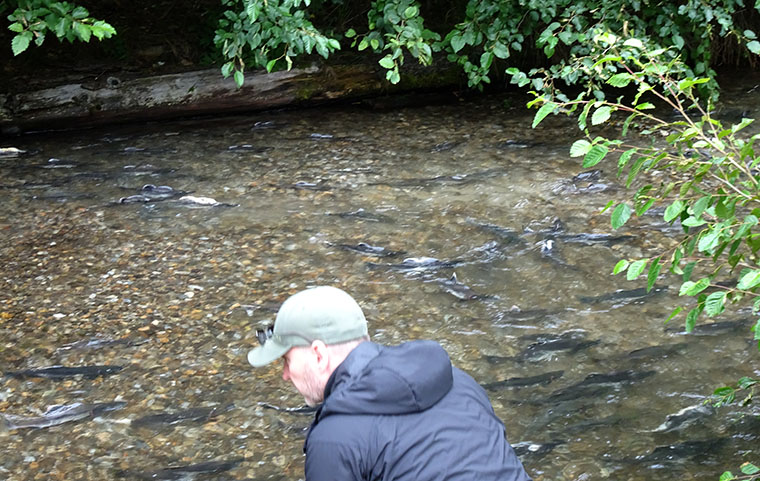 Skagway Fish Run