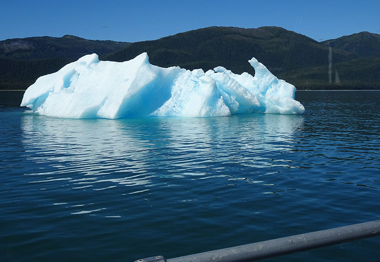 Tracy Arm Iceberg1