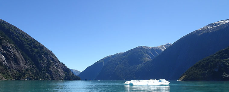 Tracy Arm View 3