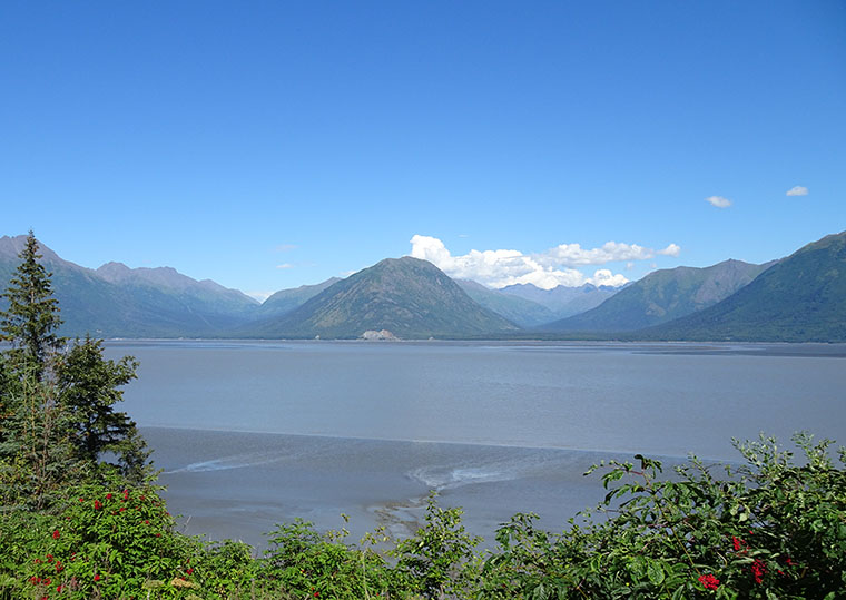 Turnagain Arm from south