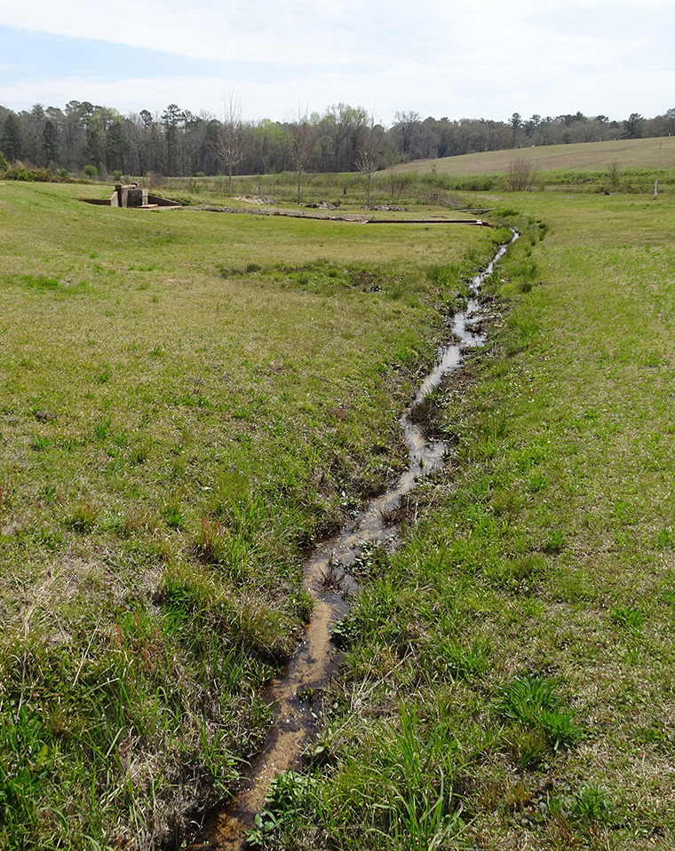 Andersonville Stream