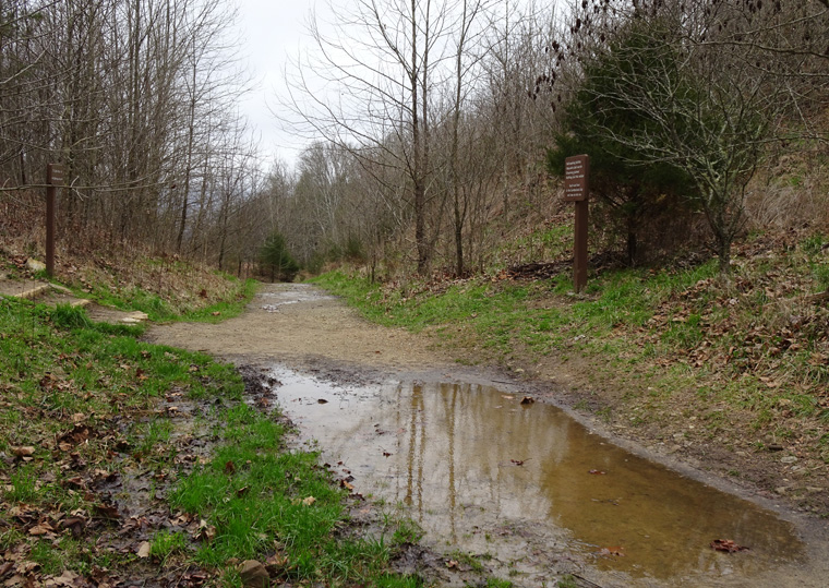 Cumberland Gap Path