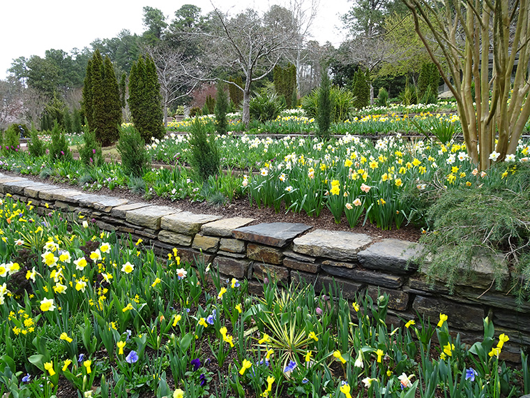 Duke Garden Flowers