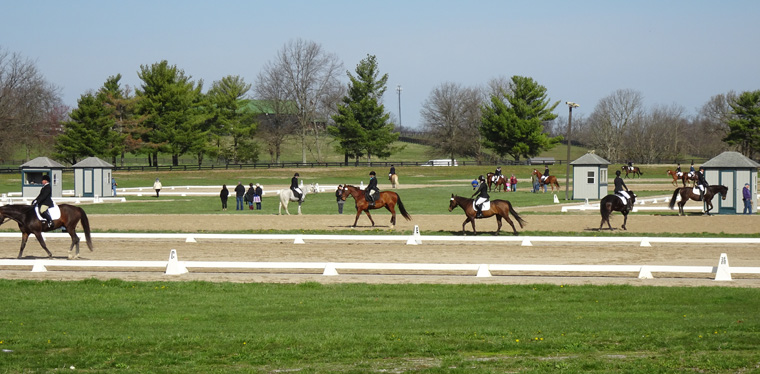 Kentucky Horse Farm Activity