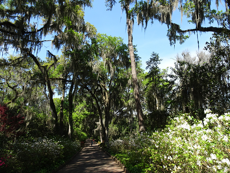 Tallahassee Maclay Gardens 3