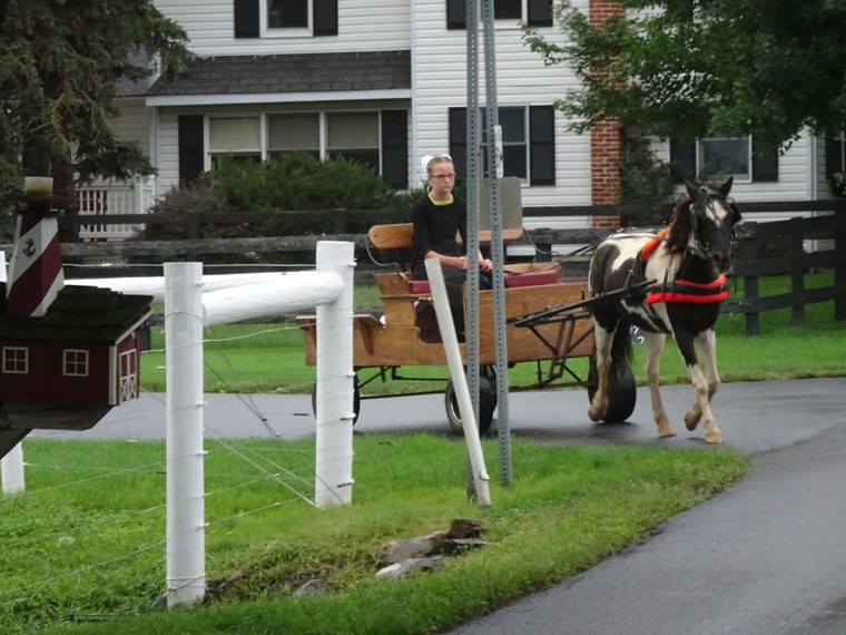 Amish Buggy