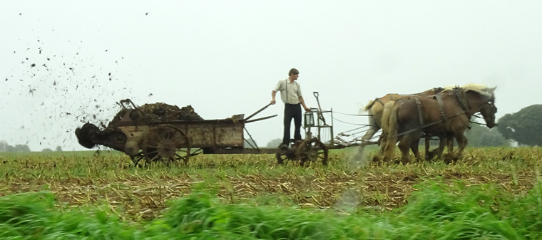 Amish Farming