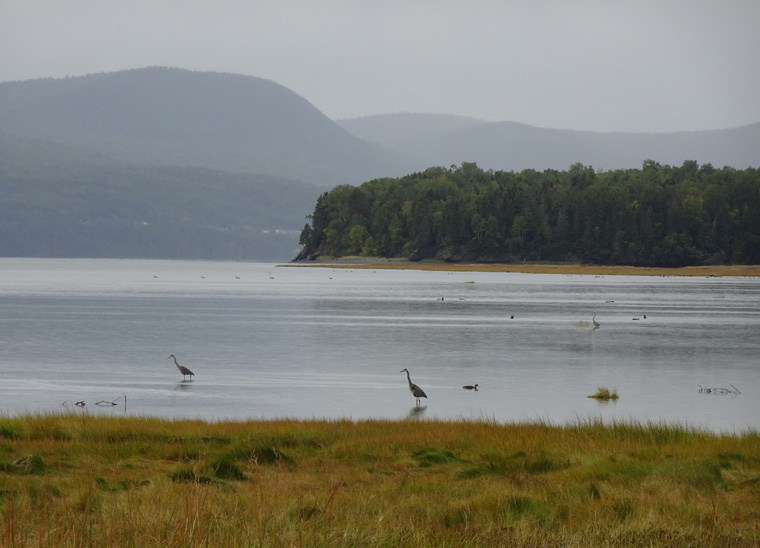 Gaspe Forillon NP