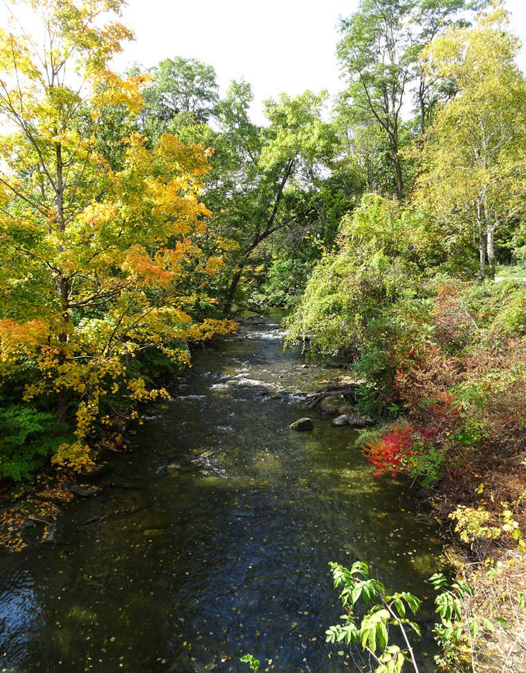 Creamery Bridge View