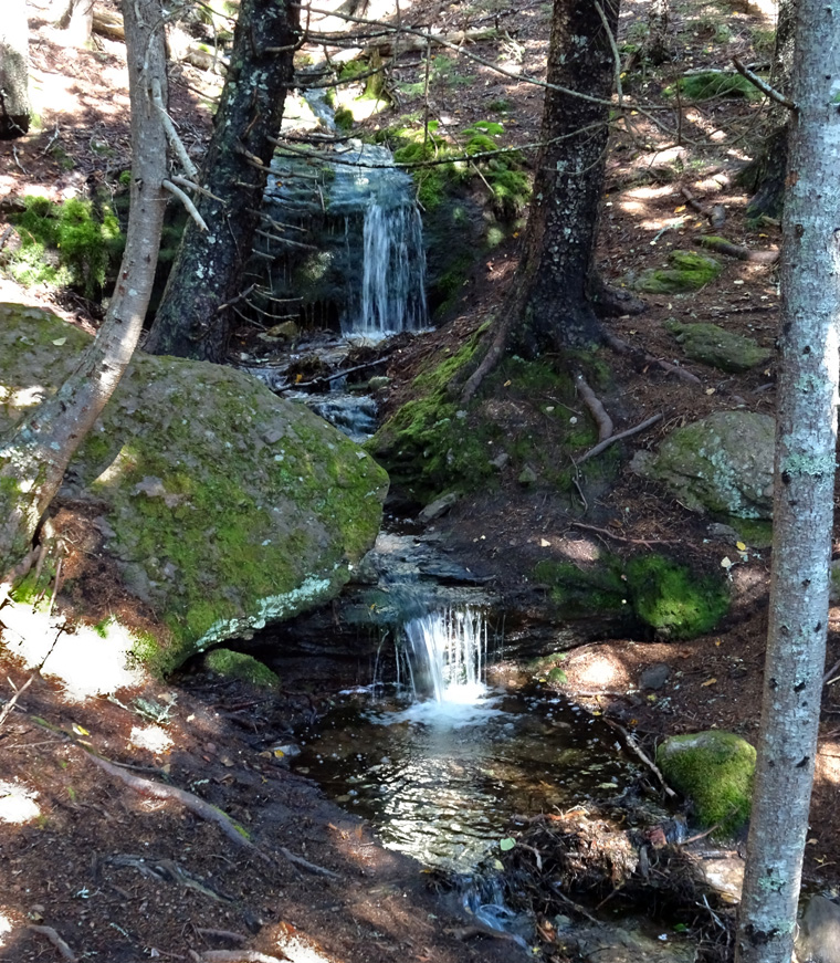 Fundy NP Stream