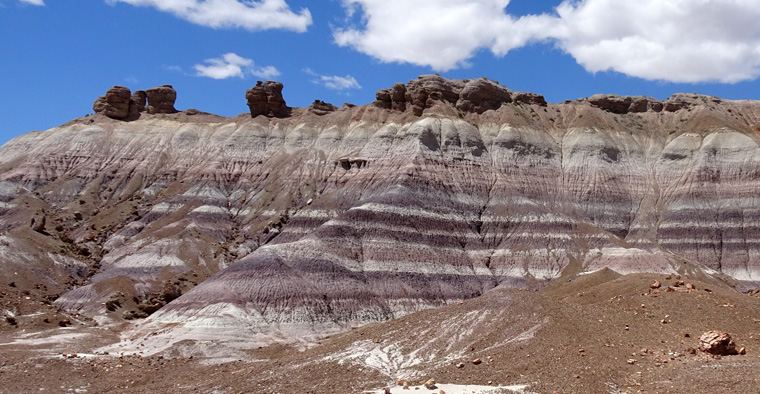 Petrified Forest Blue Mesa Colors