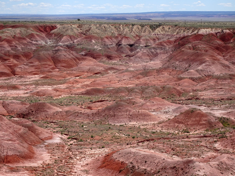 Petrified Forest Painted Desert