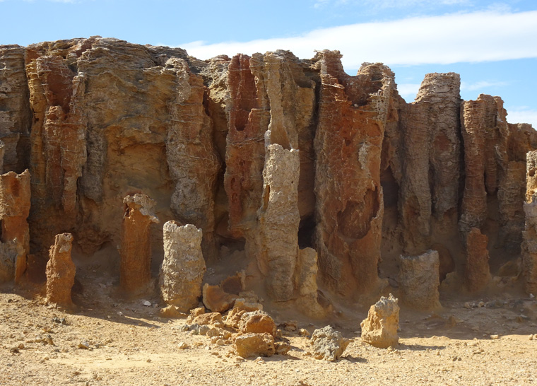 Great Ocean Road 15 Petrified Forest