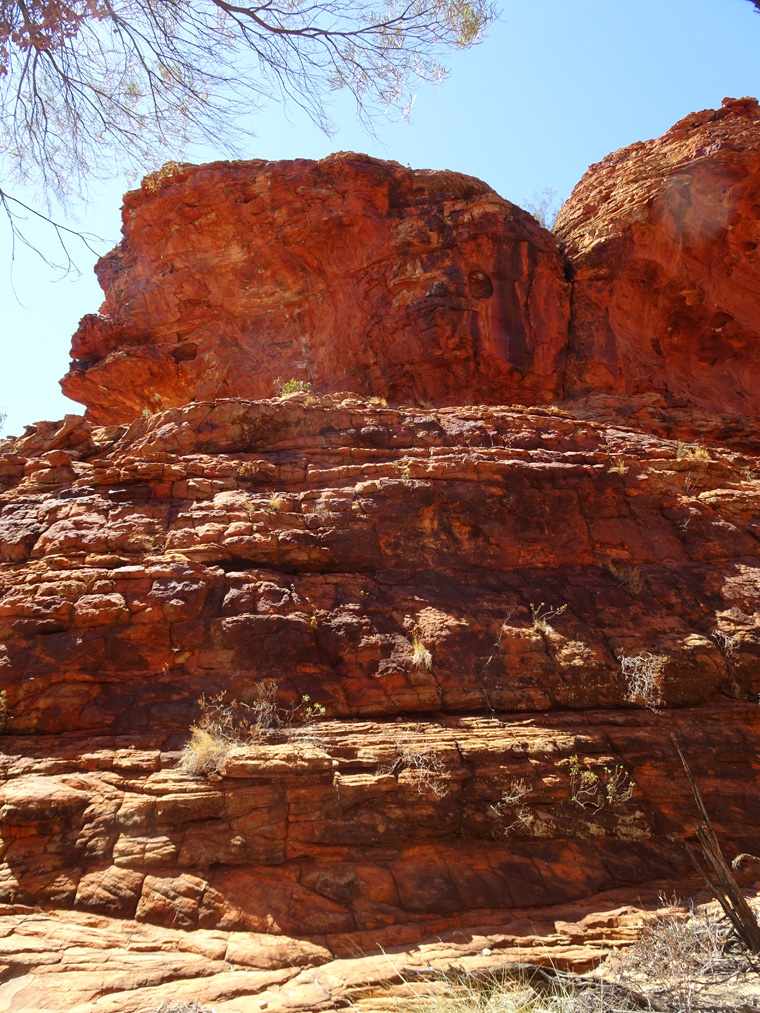 Kings Canyon Color