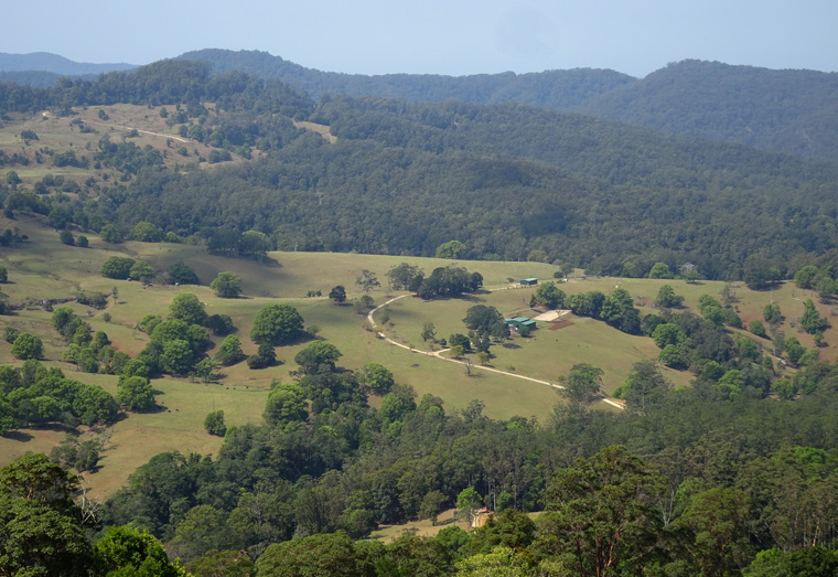 Springbrook scenery