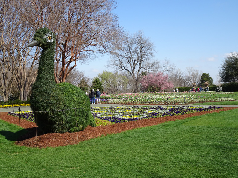 Dallas Arboretum Bird