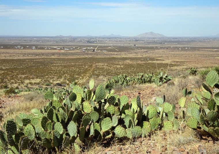 Deming Walk Cactus and View 1