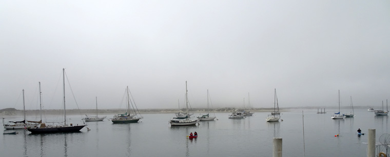 Morro Bay in mist