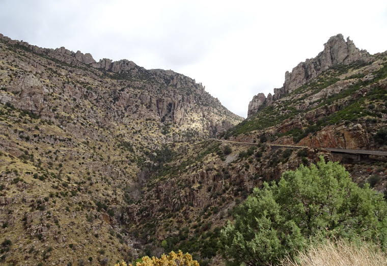 Mt Lemmon Road