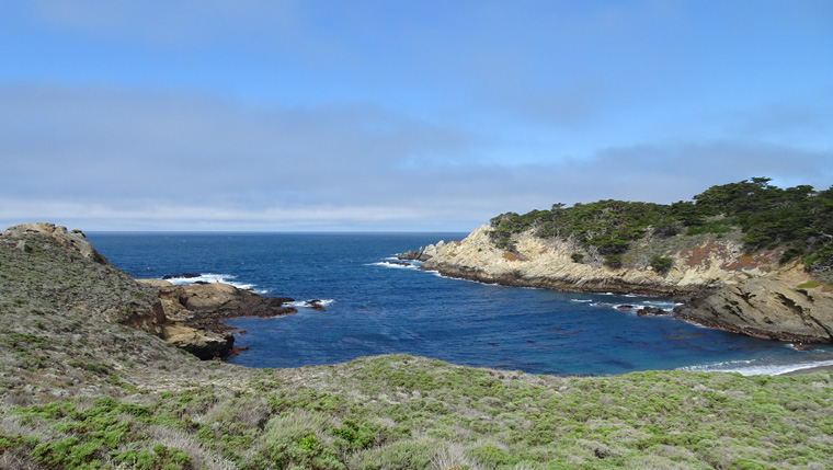 Point Lobos South Shore