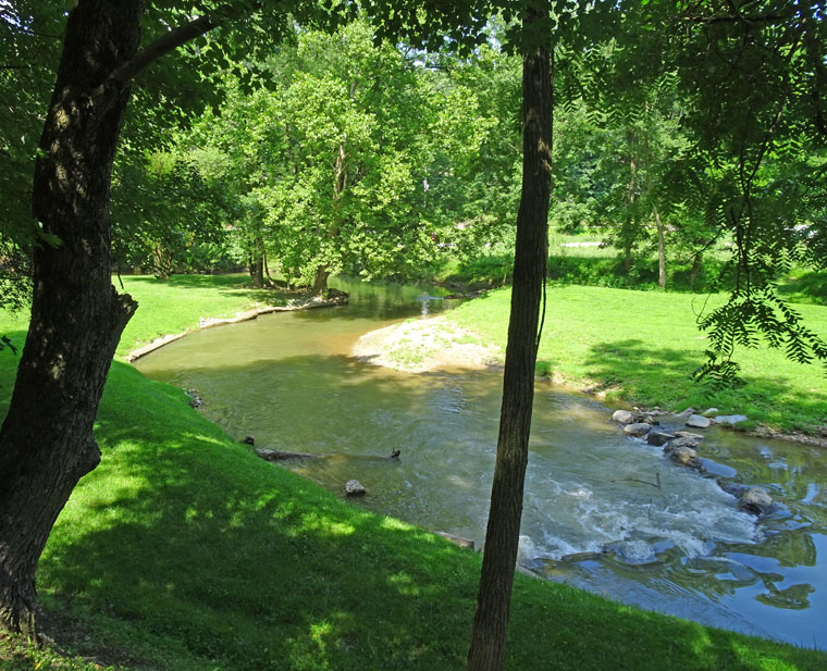 Bucolic River Scene