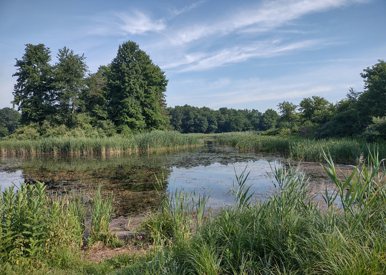 Wildwoods Nature Preserve